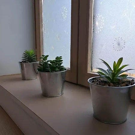 Des Falaises De 8personnes * Longues-sur-Mer